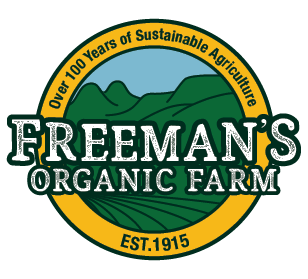 David Freeman Logo
